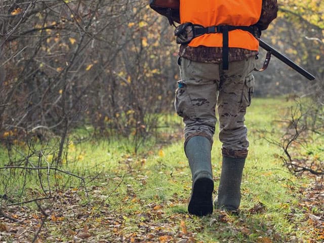 Psicoténico para permiso de armas en Pontevedra